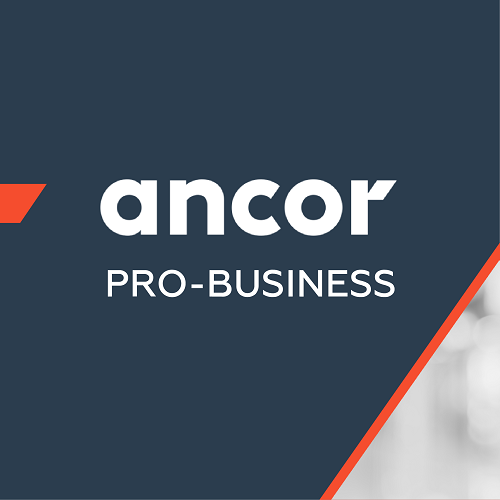 ANCOR PRO Business: Практики привлечения и удержания квалифицированного персонала в АПК  