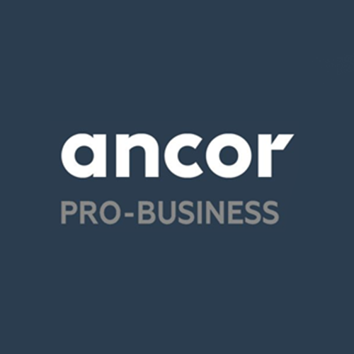 ANCOR PRO-BUSINESS: HR-тренды 2021